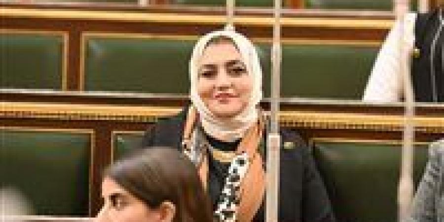 طلب إحاطة بشأن خطورة لوحات الإعلانات المضيئة ليلًا على الطرق