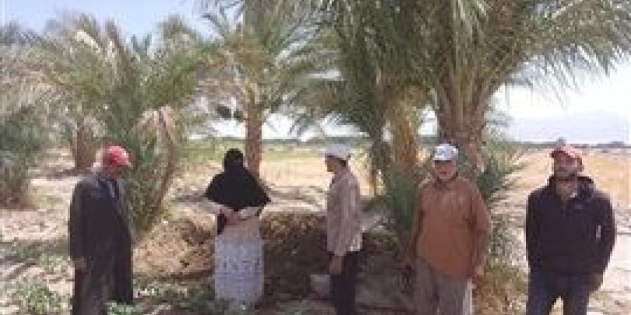 زراعة جنوب سيناء قوافل زراعية تجوب الوديان
