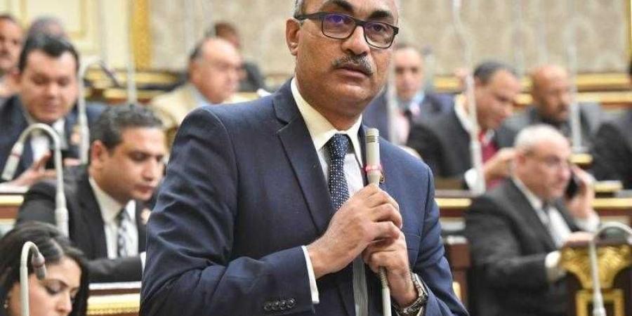 برلماني: مشروع قانون الإيجار القديم بحاجة لدعم من الجهاز المركزي للتعبئة العامة والإحصاء