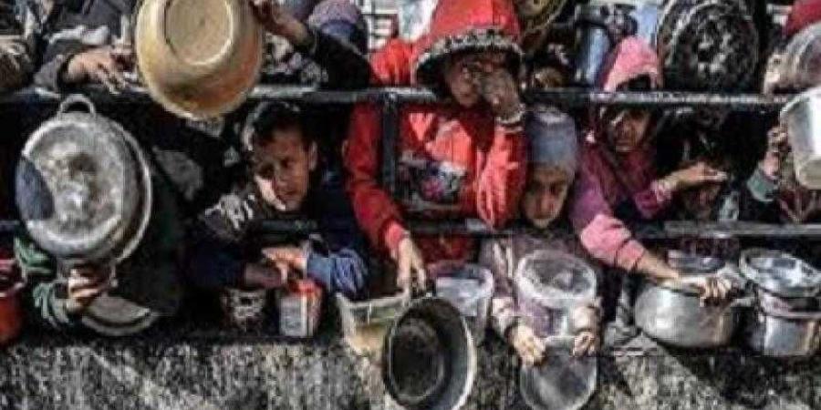 الأغذية العالمى: أكثر من مليونى شخص بغزة يعانون الجوع الشديد