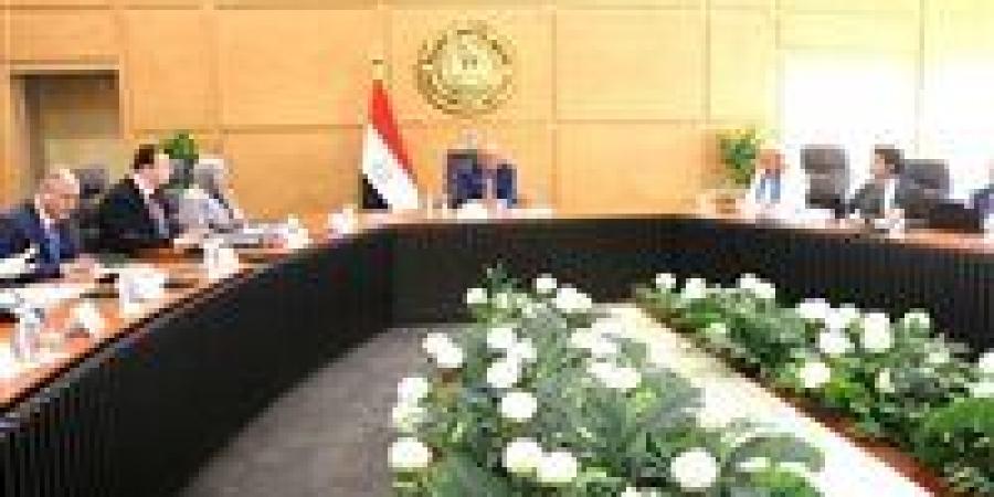 وزير الكهرباء يبحث مع وفد أوروبي تعزيز التعاون في الطاقة المتجددة