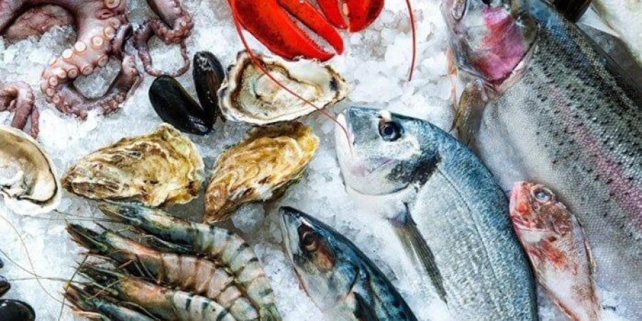 أسعار الأسماك والجمبري اليوم الثلاثاء 10 يونيو 2025