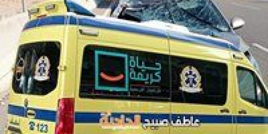 نتائح التحقيقات في حادث دهس 3 أشقاء على طريق الأوتوستراد بمدينة نصر