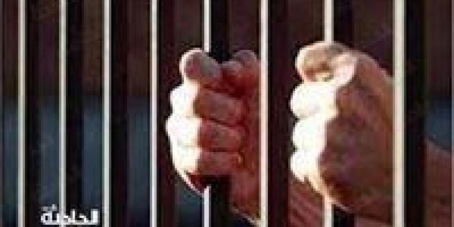 قابيل وهابيل بنها.. المشدد 10 سنوات لفرد حراسة شركة قتل شقيقه بالقليوبية