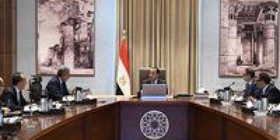 توفير إنترنت مجاني وجراجات وباصات كهربية ضمن تطوير منظومة زيارة الأهرامات