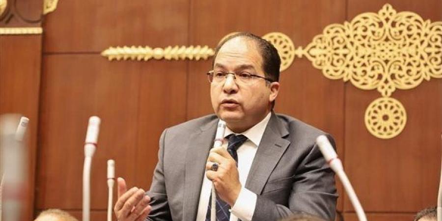 نائب: القيادة السياسية رسخت دعائم الأمن القومي وسط اضطرابات إقليمية متصاعدة