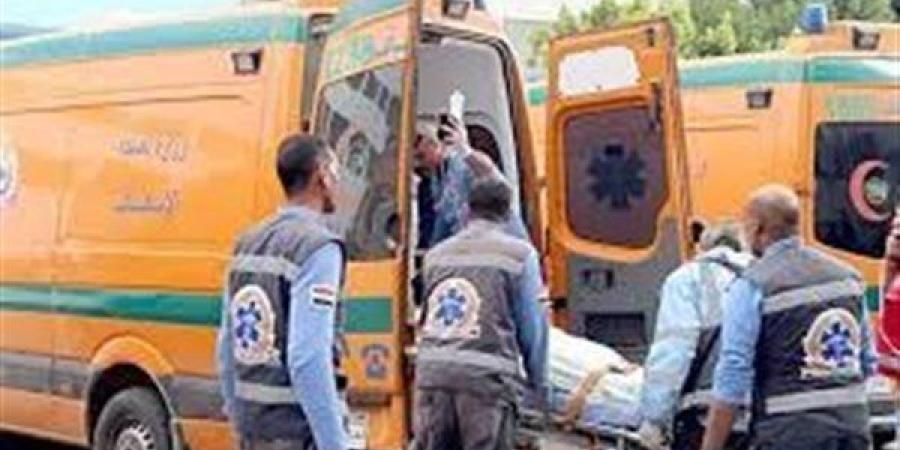 شاب يقتل صديق شقيقته بسبب علاقة غير شرعية.. والأمن ينجح في ضبطه