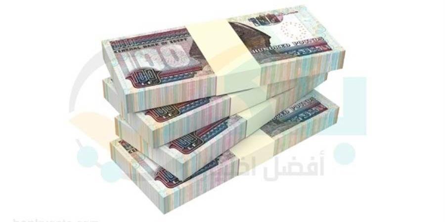  البنك المركزي: القطاع الحكومي يستحوذ على 52.7% من ...