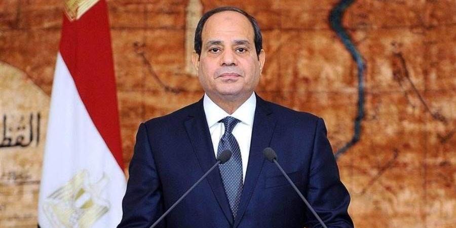 السيسي يؤكد لمؤسسة التمويل الدولية حرص مصر على ...