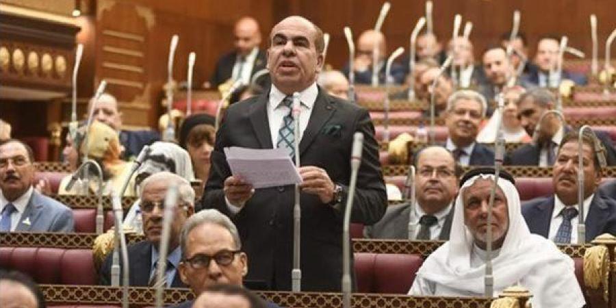 الهضيبي يطالب المجتمع الدولي بالتحرك لاحتواء النزاع بين إسرائيل وإيران
