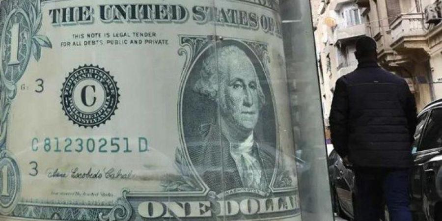 بورصة مصر.. الأسهم تتراجع بأكثر من 7% خلال دقائق والدولار يقفز فوق 50 جنيها.. ماذا يحدث؟