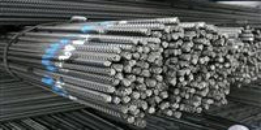 سعر طن الحديد اليوم في مصر الإثنين 16 يونيو 2025