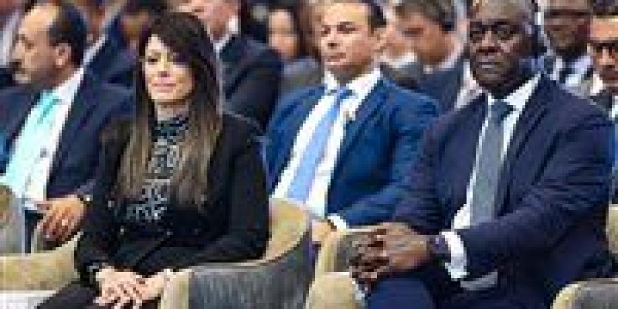"IFC": تمويل تنموي بـ4 مليارات دولار للقطاع الخاص