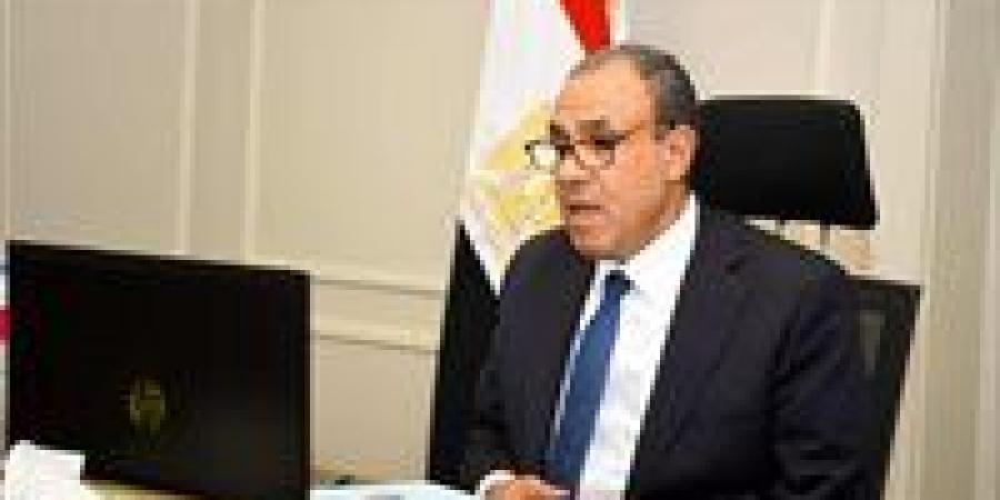 وزير الخارجية والهجرة يشارك في اللقاء الافتراضى مع الجالية المصرية في المملكة المتحدة
