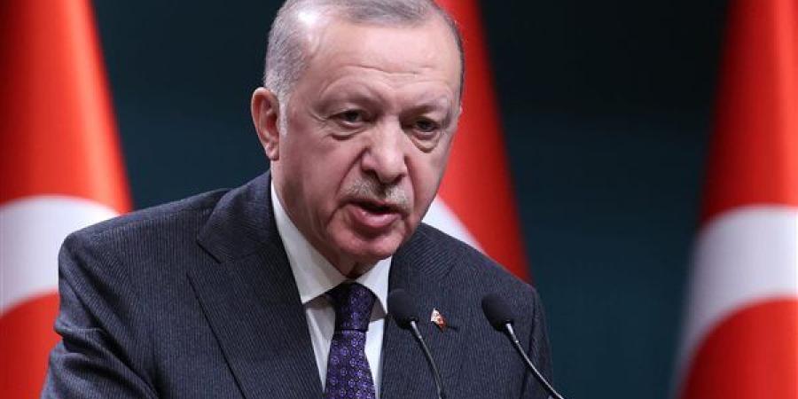 أردوغان يعرض على نظيره الإيراني الوساطة التركية في المفاوضات النووية