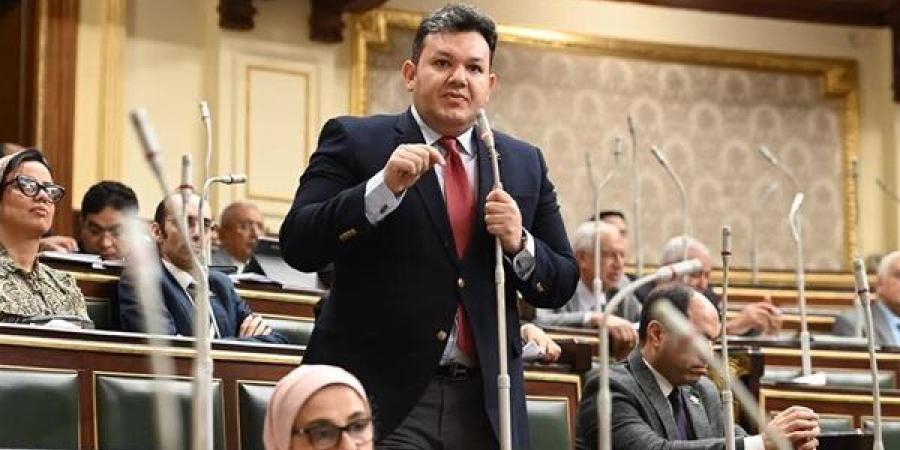 نائب التنسيقية: مصر تواجه حروبًا اقتصادية ممنهجة.. والتوقيت الراهن يستلزم اصطفافًا وطنيًا