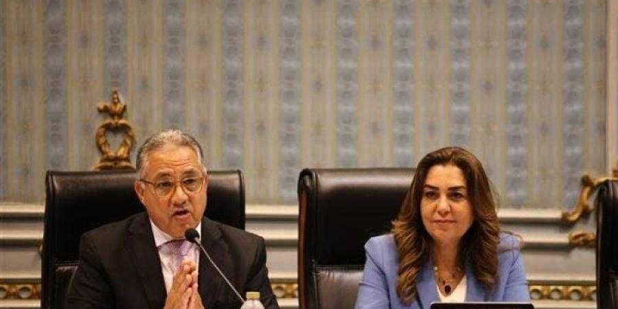 وزيرة التنمية المحلية تستعرض مشروعات البنية التحتية لمنظومة المخلفات أمام لجنة الإدارة المحلية بالنواب