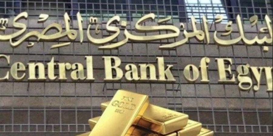 البنك المركزي يصدر قواعد ترخيص وتسجيل مشغلي نظم الدفع ومقدمي خدمات الدفع