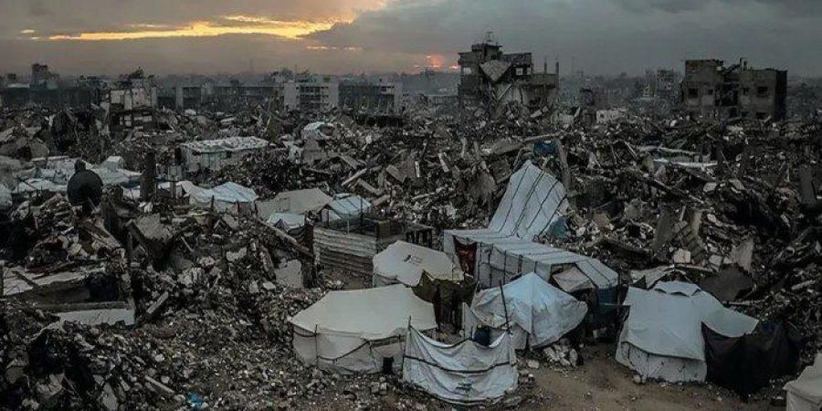 رئيس مجلس الشيوخ الإيطالي يؤكد ضرورة وضع حد نهائي وفوري للمعاناة في غزة