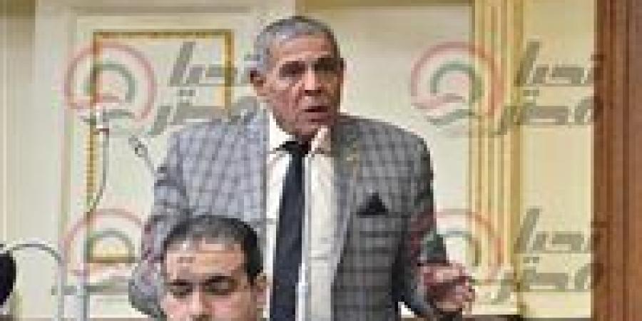 أمين سر إسكان النواب لتحيا مصر: رفع قيمة الإيجار إلي 250 جنيه كحد أدني مناسبة للجميع واللائحة التنفيذية ستحدد آليات تنفيذ إخلاء الشقق السكنية