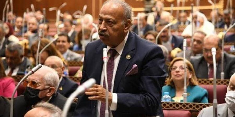 هاني العسال: مكافحة ظاهرة التنمر والعنف داخل المدارس أهم أولويات وزارة التربية والتعليم