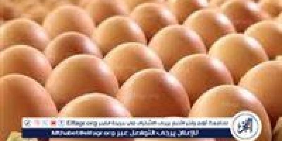 أسعار طبق البيض اليوم السبت 21-6-2025 في قنا