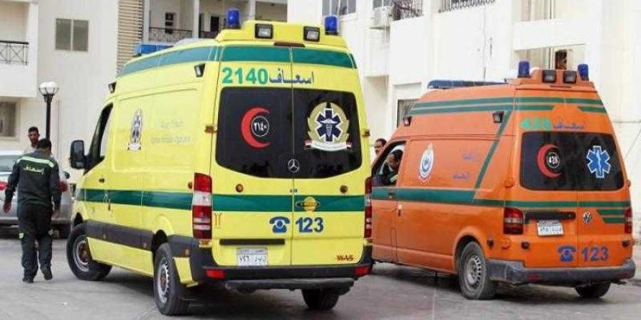 مأساة في صلاح سالم.. مصرع شخصين وإصابة 7 إثر سقوط شجرة على ميكروباص بالقاهرة