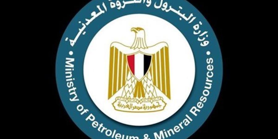 البترول تطمئن المصريين: أزمة انقطاع الكهرباء في الصيف لن تتكرر (فيديو)