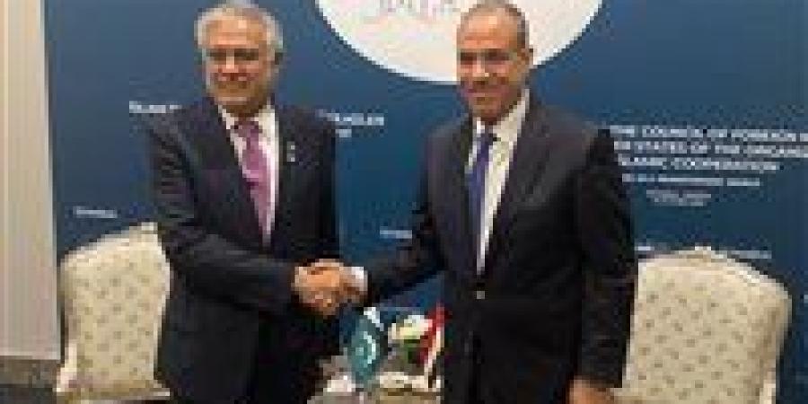 وزير الخارجية يبحث مع نظيره الباكستاني تطورات الصراع العسكري بين إيران وإسرائيل