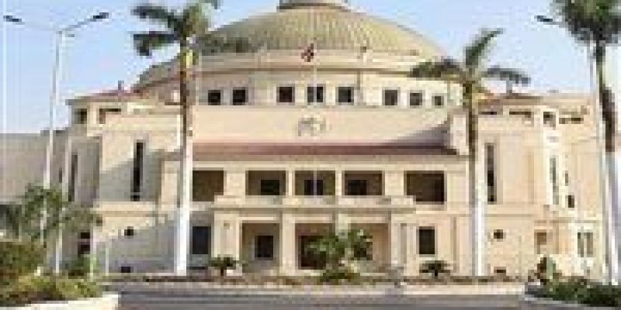 سقوط طائرة درون أمام باب جامعة القاهرة تابعة لمشروع تخرج طلاب بكلية الهندسة