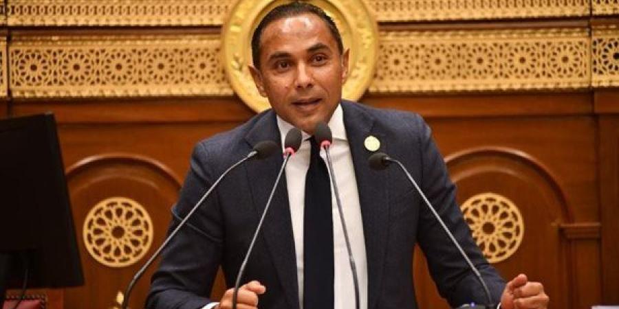 برلماني: مجلس الشيوخ ركيزة راسخة في الحياة النيابية وعزز من جودة التشريع المصري