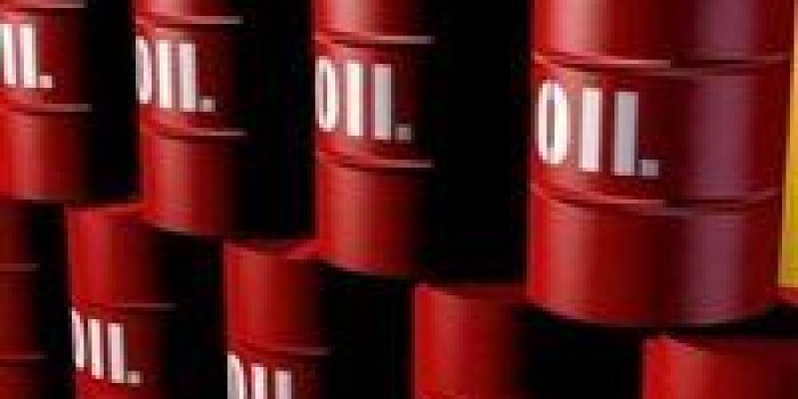 خبير طاقة: إغلاق مضيق هرمز قد يدفع سعر النفط إلى 130 دولار