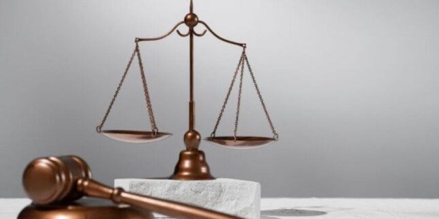 تفاصيل الحكم على المتهمين بـ «خلية المرج الإرهابية»