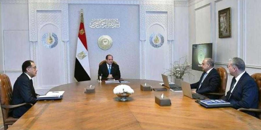 الرئيس السيسي يجتمع مع رئيس الوزراء ووزير الكهرباء