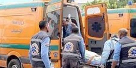 سوهاج.. إصابة ربة منزل بالخرطوش بجرجا