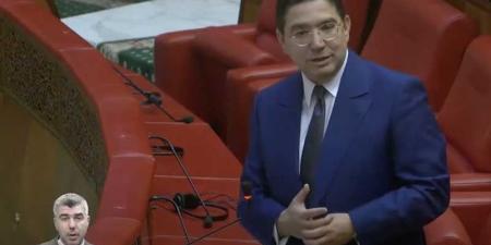 بوريطة وفلسفة الملك بإفريقيا