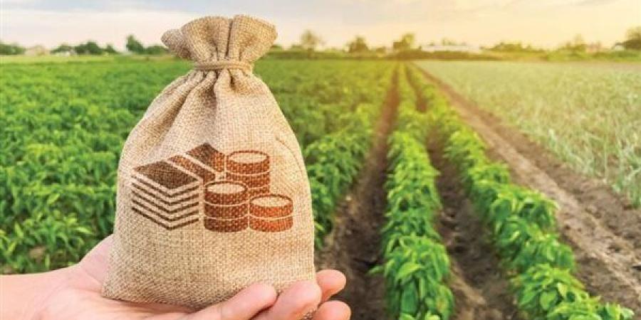 لتحسين الإنتاج.. قرض الفلاح من هذا البنك
