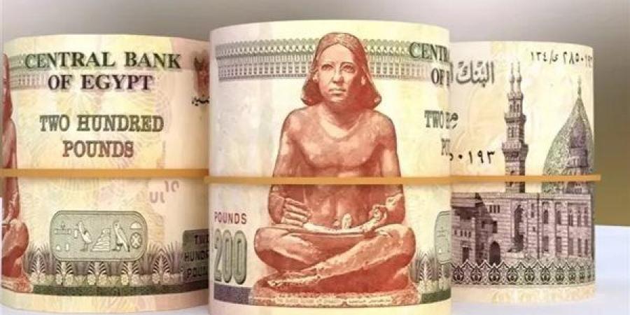 أعلى شهادات الادخار بعائد شهري في مصر قبل اجتماع البنك المركزي لحسم الفائدة غدًا